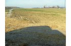 Property photo 8 - 60 Acres Offered in 2 Tracts
